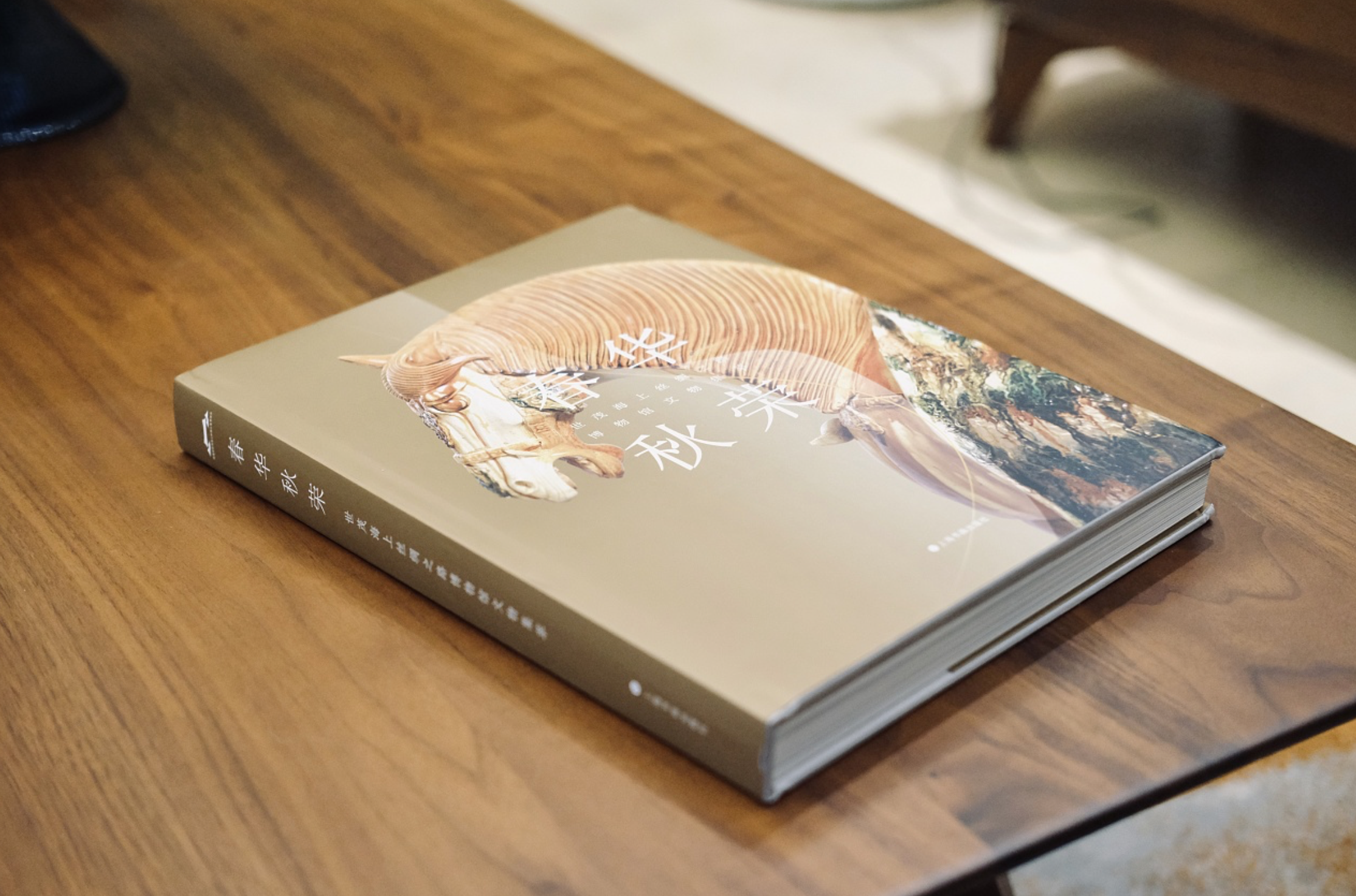 傳統元素宣傳畫(huà)冊設計(jì)