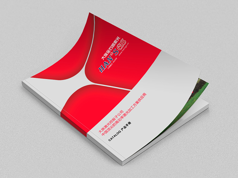 大(dà)族激光(guāng)集團宣傳冊