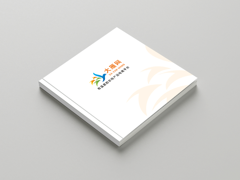 大(dà)雁網畫(huà)冊設計(jì)
