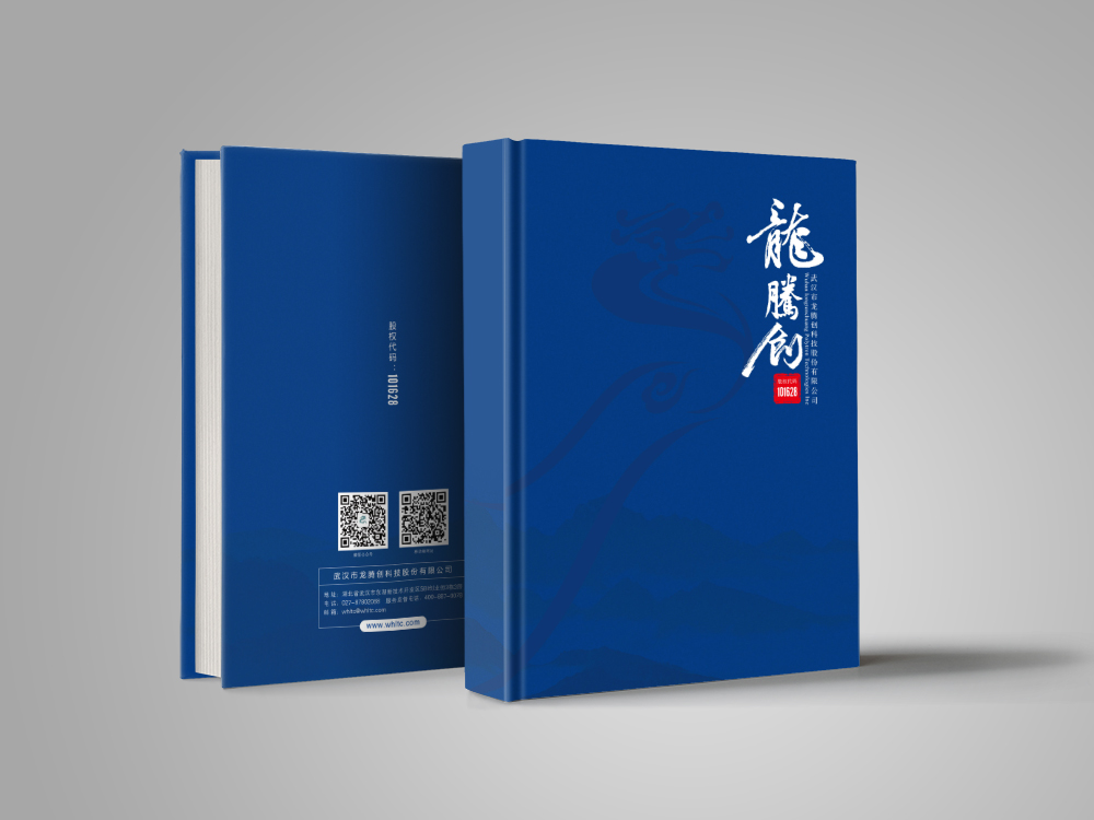 龍騰創畫(huà)冊設計(jì)