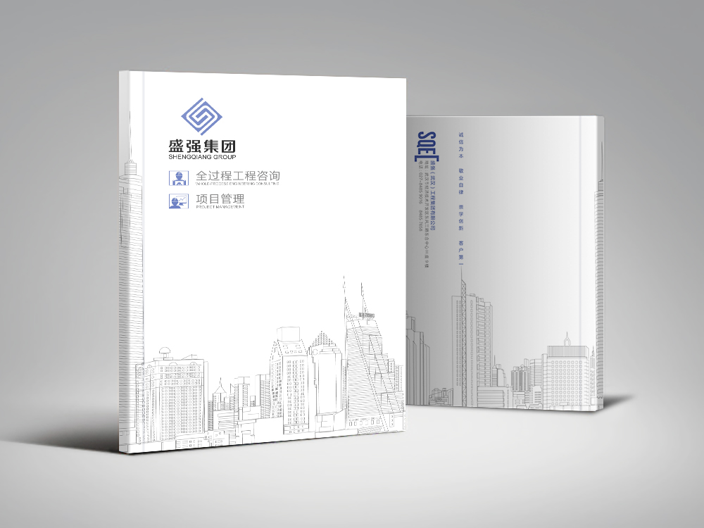 盛強集團畫(huà)冊設計(jì)